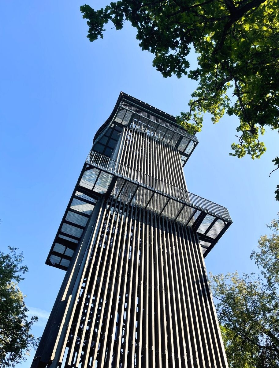 odern wooden observation tower treated with PAINT ECO's terrace stain, ensuring durability, weather resistance, and a stylish dark finish for long-lasting outdoor protection.