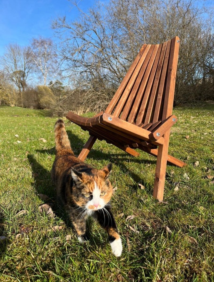 Linseed Oil Stain Owl BB-3 wood chair