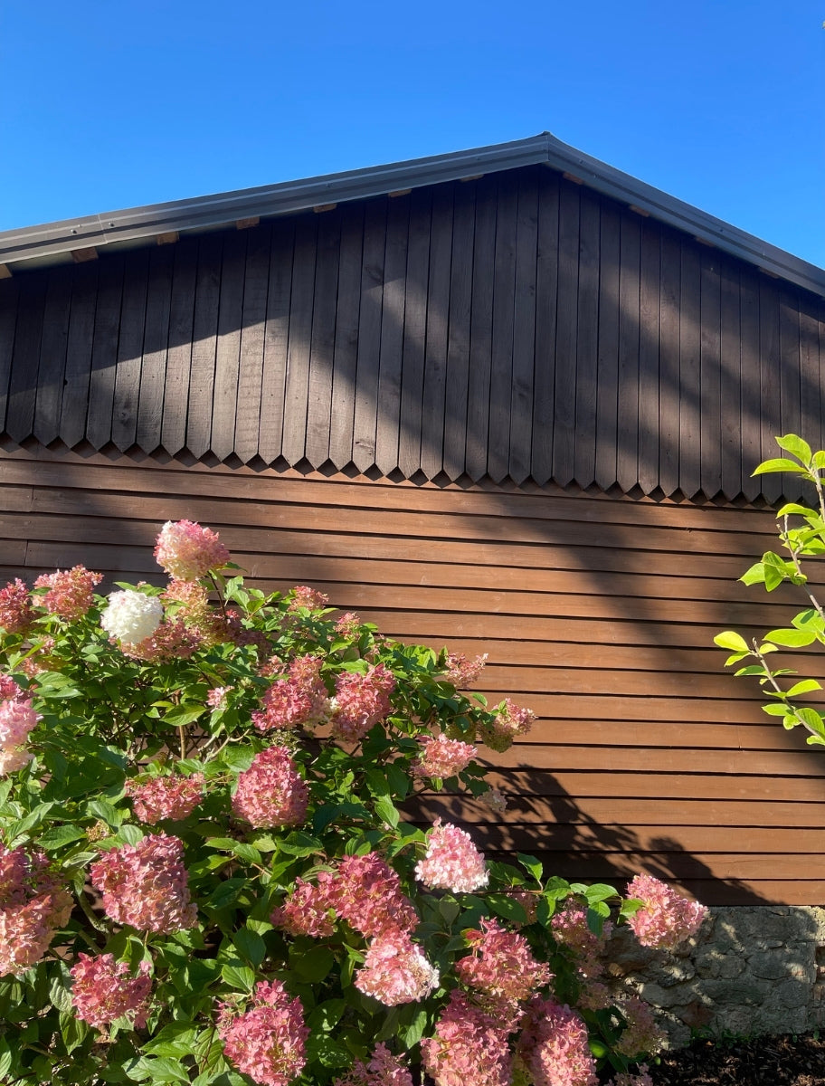 Exterior of a wooden house painted with Paint Eco Natural Paint In Deer shade.