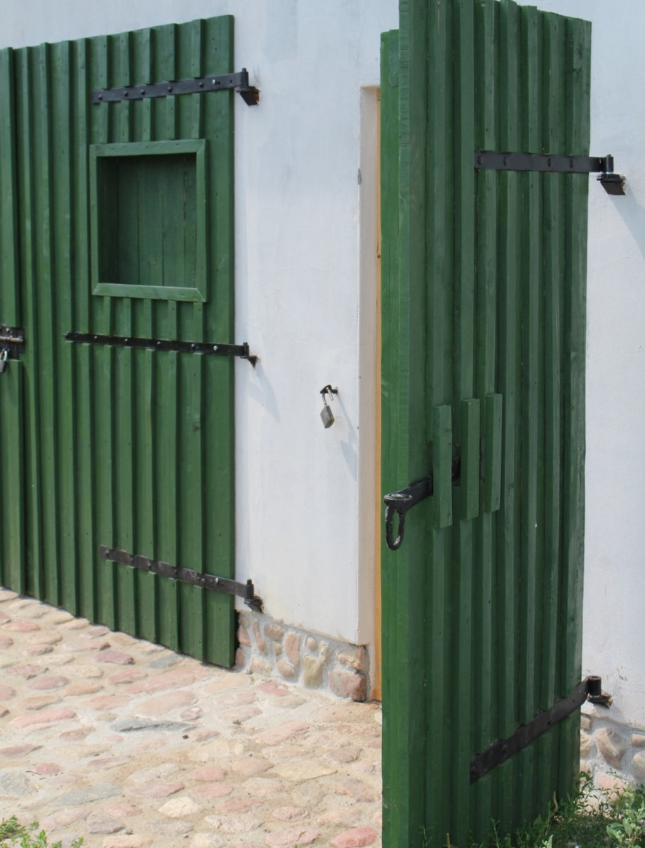 Wooden surface coated with Paint Eco linseed oil-based paint in Needle KZA-1 color, showcasing a natural greenish tone ideal for exterior and interior wood protection.